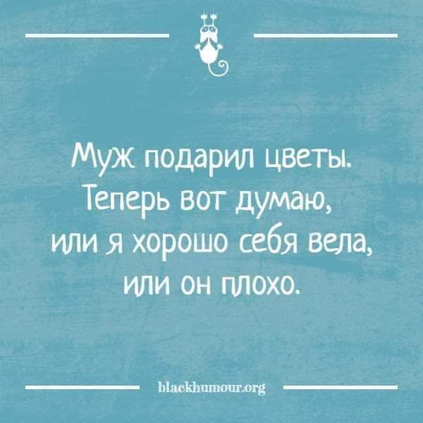 Муж подарил цветы. Теперь вот думаю, или я хорошо себя вела, или он плохо.