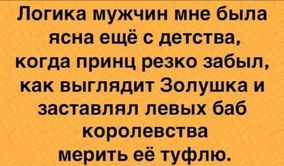 Логика мужчин мне была ясна ещё с детства, когда принц резко забыл, как выглядит Золушка и заставлял левых баб королевства мерить её туфлю.