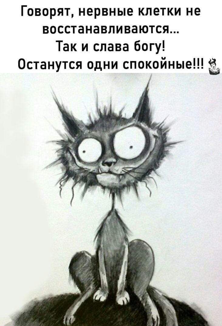 Говорят, нервные клетки не восстанавливаются... Так и слава богу! Останутся одни спокойные!!!