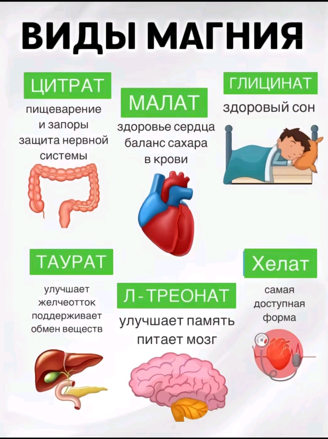 ВИДЫ МАГНИЯ
ЦИТРАТ пищеварение и запоры защита нервной системы
МАЛАТ здоровье сердца баланс сахара в крови
ГЛИЦИНАТ здоровый сон
ТАУРАТ улучшает желчетоотделение поддерживает обмен веществ
Л-ТРЕОНАТ улучшает память питает мозг
Хелат самая доступная форма