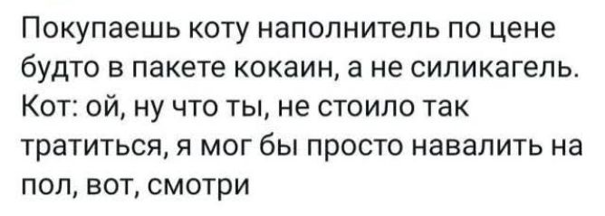 Покупаешь коту наполнитель по цене будто в пакете кокаин, а не силикагель.
Кот: ой, ну что ты, не стоило так тратиться, я мог бы просто навалить на пол, вот, смотри