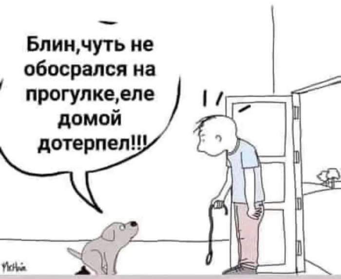 Блин, чуть не обосрался на прогулке, еле домой дотерпел!!!