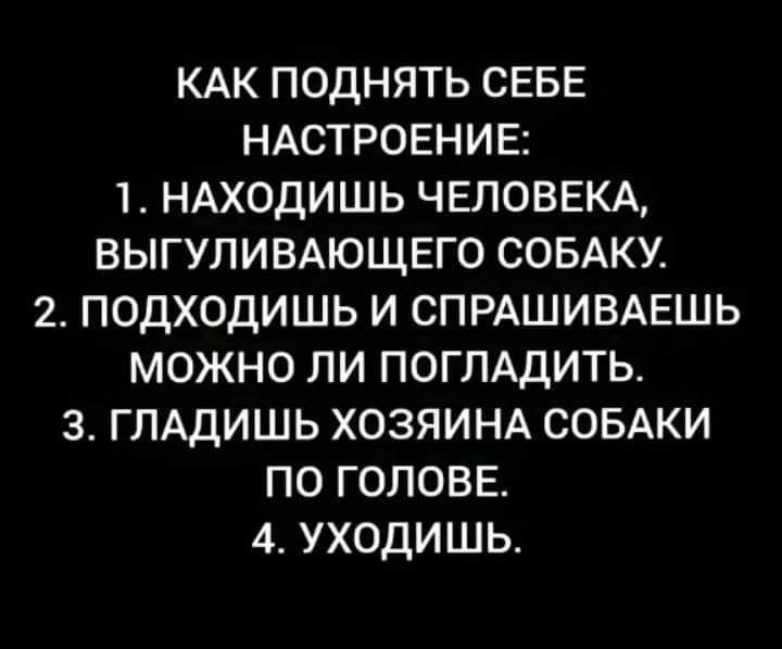 КАК ПОДНЯТЬ СЕБЕ НАСТРОЕНИЕ:
1. НОХДИШЬ ЧЕЛОВЕКА, ВЫГУЛИВАЮЩЕГО СОБАКУ.
2. ПОДХОДИШЬ И СПРАШИВАЕШЬ МОЖНО ЛИ ПОГЛАДИТЬ.
3. ГЛАДИШЬ ХОЗЯИНА СОБАКИ ПО ГОЛОВЕ.
4. УХОДИШЬ.