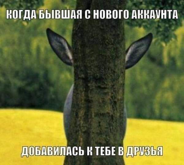 Когда бывшая с нового аккаунта добавилась к тебе в друзья