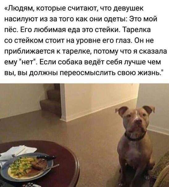 «Людям, которые считают, что девушек насилуют из за того как они одеты: Это мой пёс. Его любимая еда это стейки. Тарелка со стейком стоит на уровне его глаз. Он не приближается к тарелке, потому что я сказала ему 