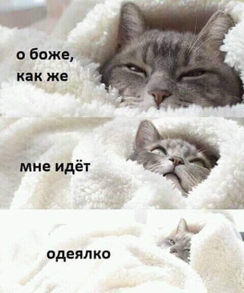 о боже, как же мне идёт оделялко