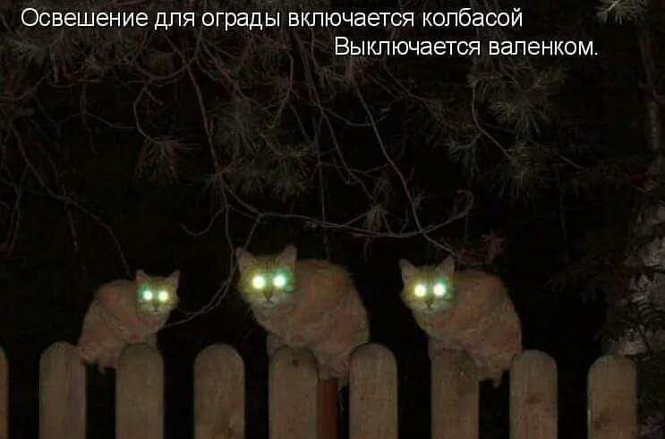 Освещение для ограды включается колбасой Выключается валенком.