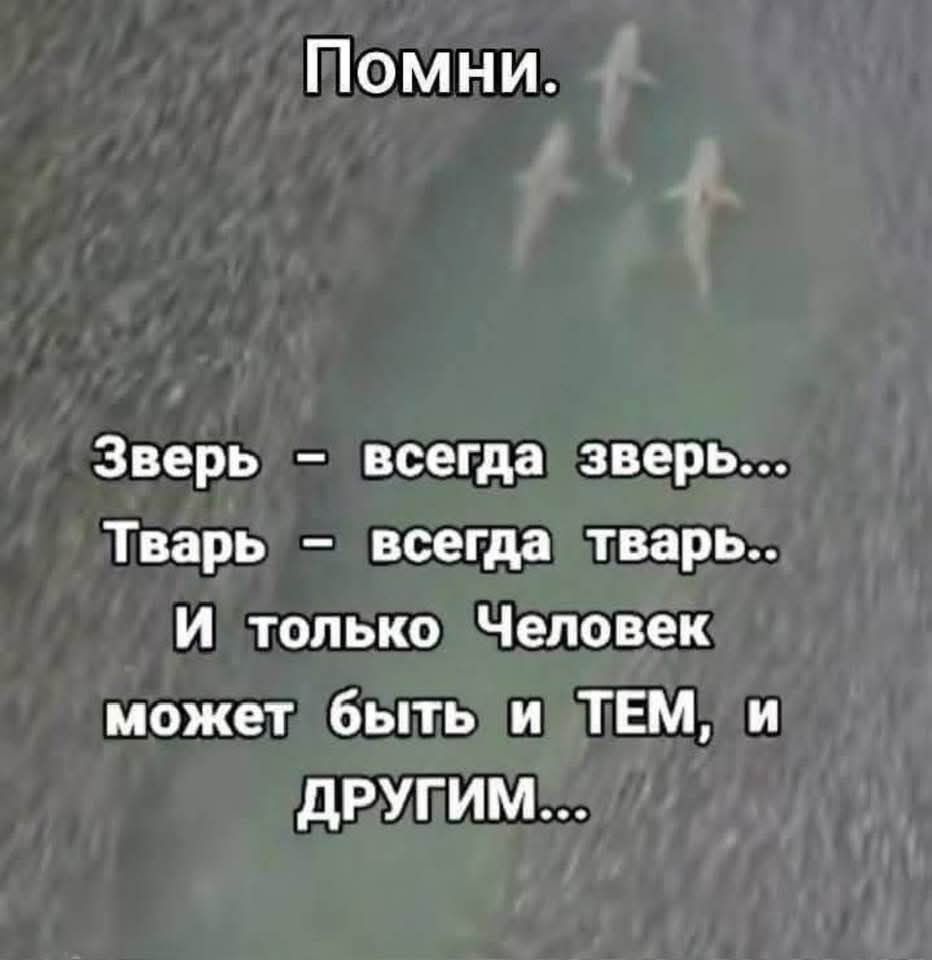 Помни.
Зверь – всегда зверь...
Тварь – всегда тварь..
И только Человек может быть и ТЕМ, и ДРУГИМ...
