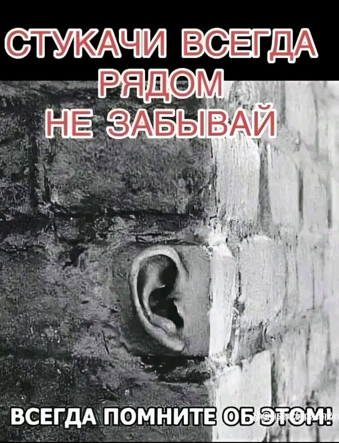 СТУКАЧИ ВСЕГДА РЯДОМ НЕ ЗАБЫВАЙ ВСЕГДА ПОМНИТЕ ОБ ЭТОМ!
