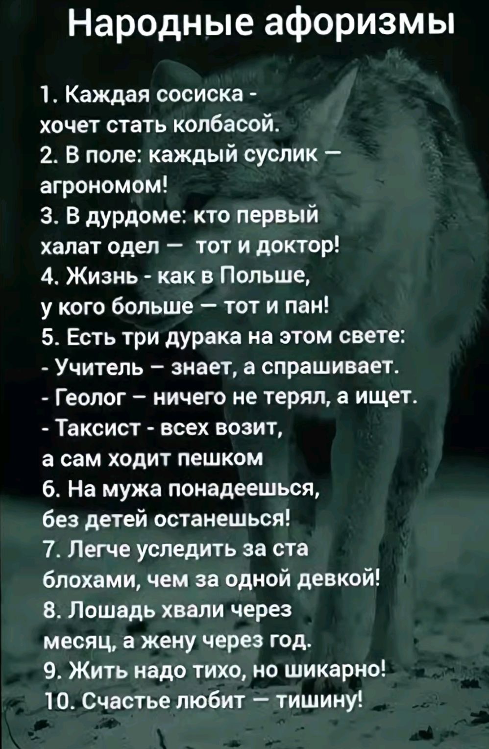 Народные афоризмы
1. Каждая сосиска - хочет стать колбасой.
2. В поле: каждый суслик — агрономом!
3. В дурдоме: кто первый халат одел — тот и доктор!
4. Жизнь - как в Польше, у кого больше — тот и пан!
5. Есть три дурака на этом свете:  
- Учитель - знает, а спрашивает.  
- Геолог - ничего не терял, а ищет.  
- Таксист - всех возит, а сам ходит пешком.
6. На мужка поннадежшься, без детей останешься!
7. Легче усидеть за ста блохами, чем за одной девкой!
8. Лошади хвали через месяц, а жену через год.
9. Жить надо тихо, но шикарно!
10. Счастье любит - тишину!