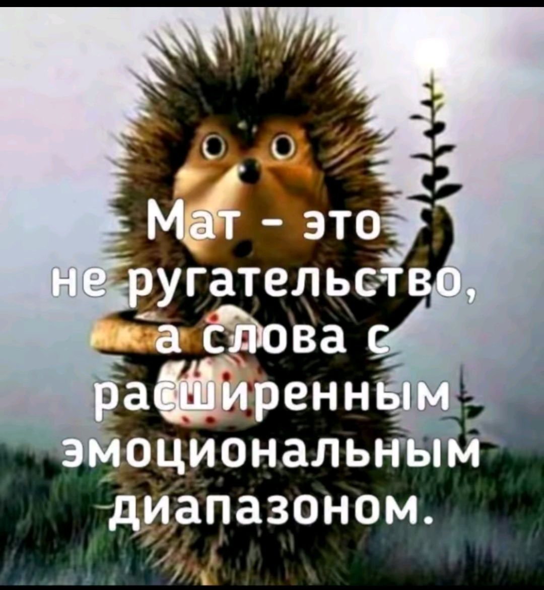 Мат - это не ругательство, а слова с расширенным эмоциональным диапазоном.