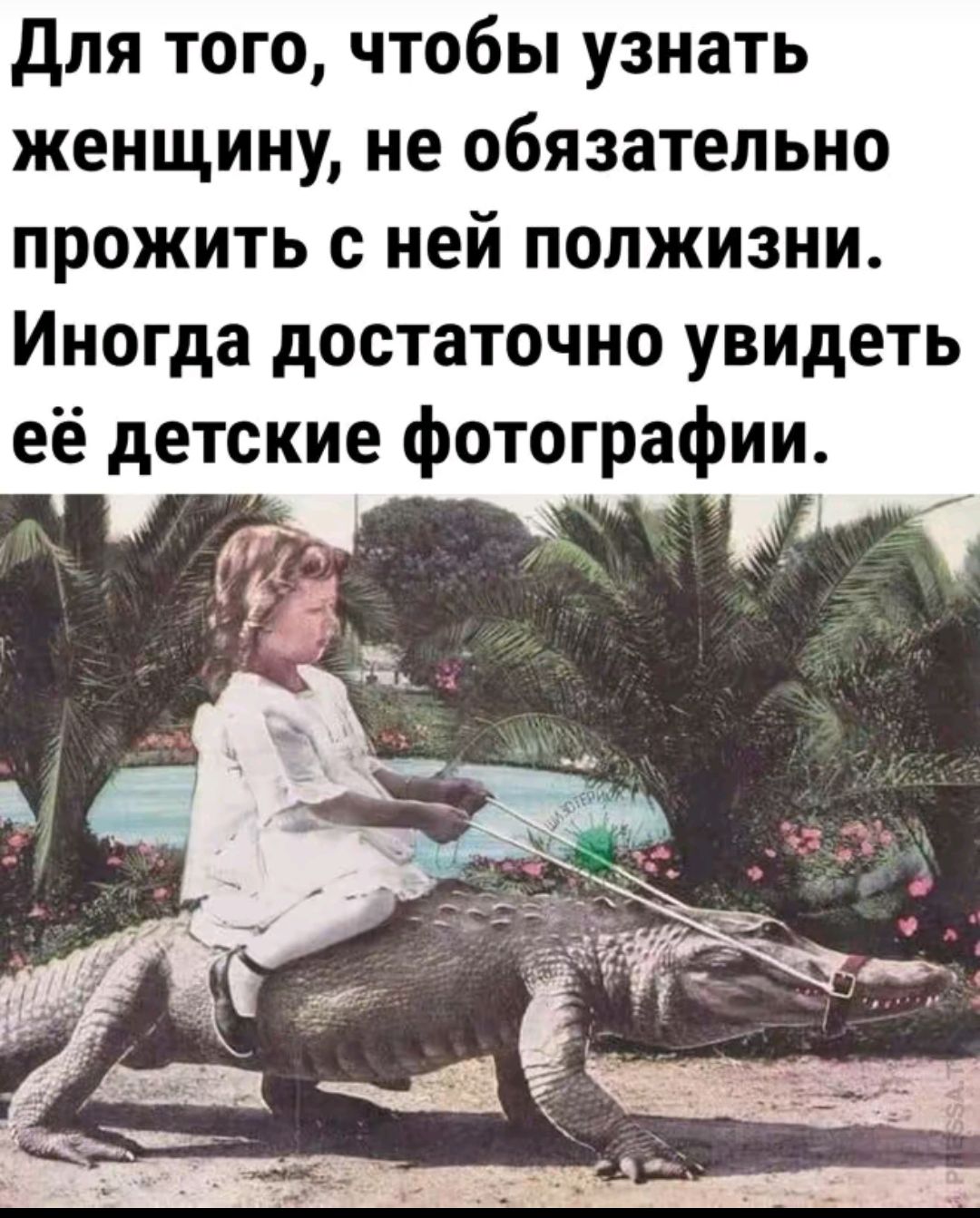 Для того, чтобы узнать женщину, не обязательно прожить с ней полжизни. Иногда достаточно увидеть её детские фотографии.