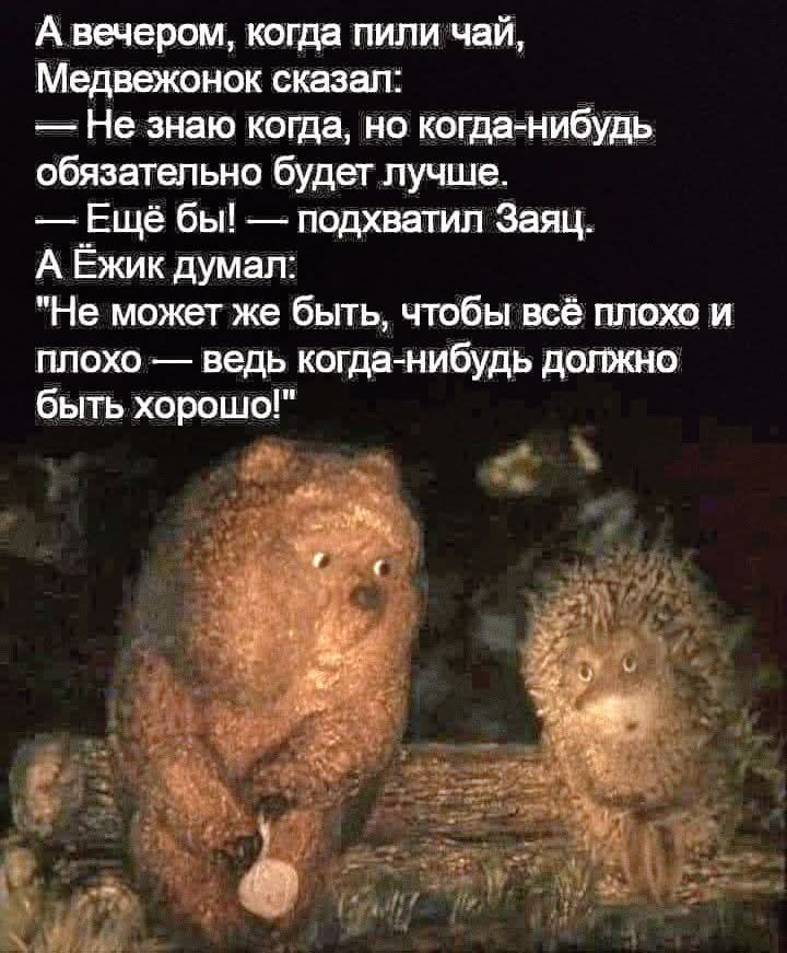 А вечером, когда пили чай, Медвежонок сказал: — Не знаю когда, но когда-нибудь обязательно будет лучше. — Ещё бы! —подхватил Заяц. А Ёжик думал: 
