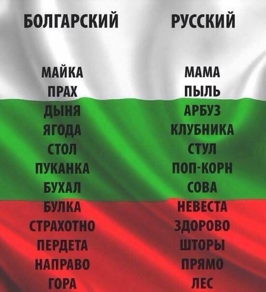 БОЛГАРСКИЙ			РУССКИЙ

МАЙКА				МАМА
ПРАХ				ПЫЛЬ
ДЫНИ				АРБУЗ
ЯГОДА				КЛУБНИКА
СТОЛ				СТУЛ
ПУКАНКА			ПОП-КОРН
БУХАЛ				СОВА
БУЛКА				НЕВЕСТА
СТРАХОТНО			ЗДОРОВО
ПЕРДЕТА				ШТОРЫ
НАПРАВО			ПРЯМО
ГОРА				ЛЕС