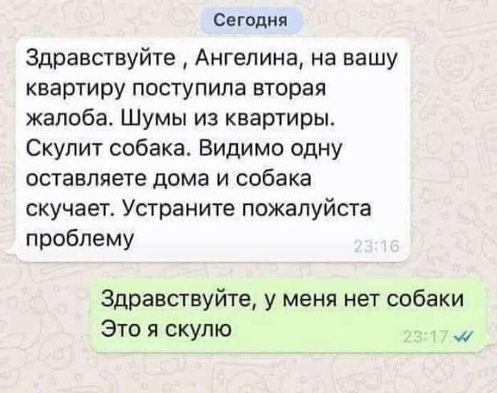 Здравствуйте, Ангелина, на вашу квартиру поступила вторая жалоба. Шумы из квартир. Скулит собака. Видимо одну оставляете дома и собака скучет. Устраните пожалуйста проблему
Здравствуйте, у меня нет собаки. Это я скулю
