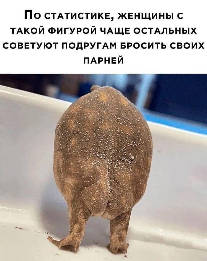 По статистике, женщины с такой фигурой чаще остальных советуют подругам бросить своих парней