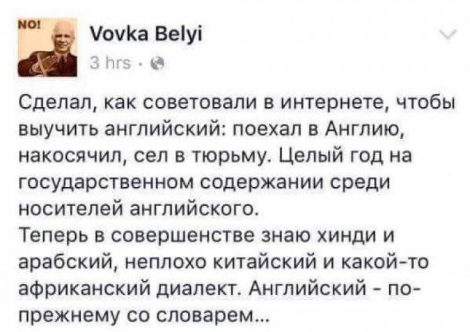 Сделал, как советовали в интернете, чтобы выучить английский: поехал в Англию, накосячил, сел в тюрьму. Целый год на государственном содержании среди носителей английского.
Теперь в совершенстве знаю хинди и арабский, неплохо китайский и какой-то африканский диалект. Английский - по-прежнему со словарем...