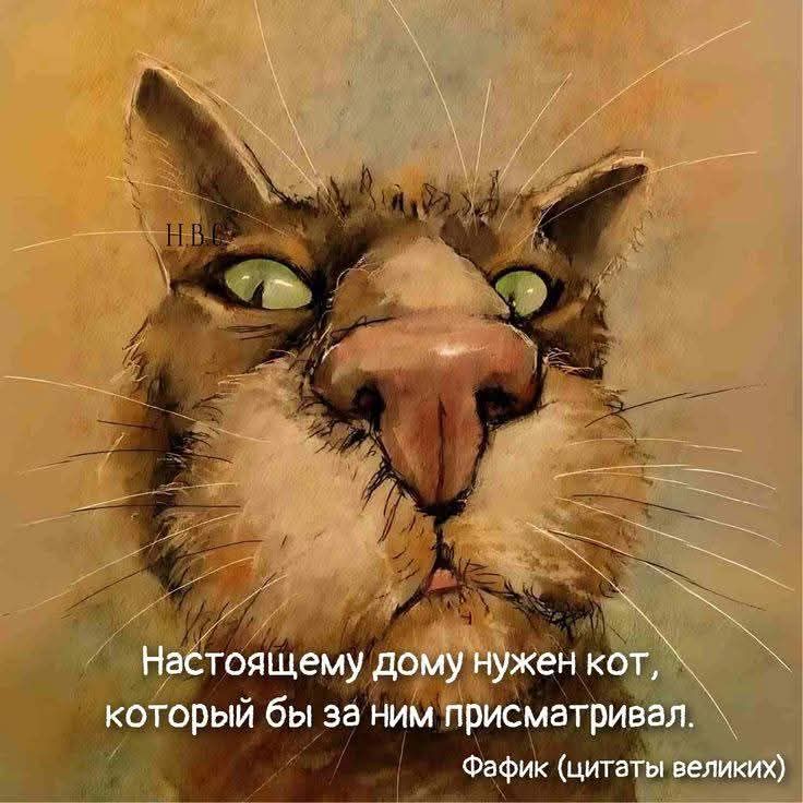 Настоящему дому нужен кот, который бы за ним присматривал.
Фафик (цитаты великих)
