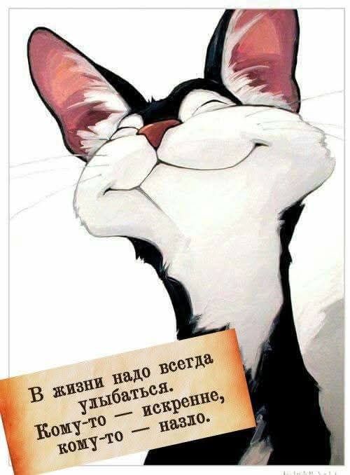 В жизни надо всегда улыбаться. Кому-то — искренне, кому-то — назло.