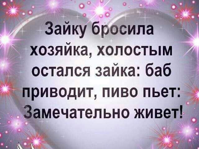 Зайку бросила хозяйка, холостым остался зайка: баб приводит, пиво пьет: Замечательно живет!