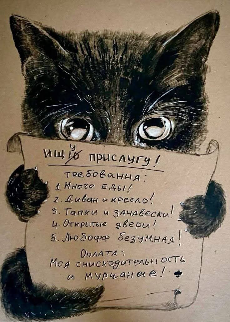 ищу прислугу!

требования:
1. Много еды!
2. Диван и кресло!
3. Тапки и занавески!
4. Открытые двери!
5. Любовь безумная!

Оплата: Моя снисходительность и мурчание!