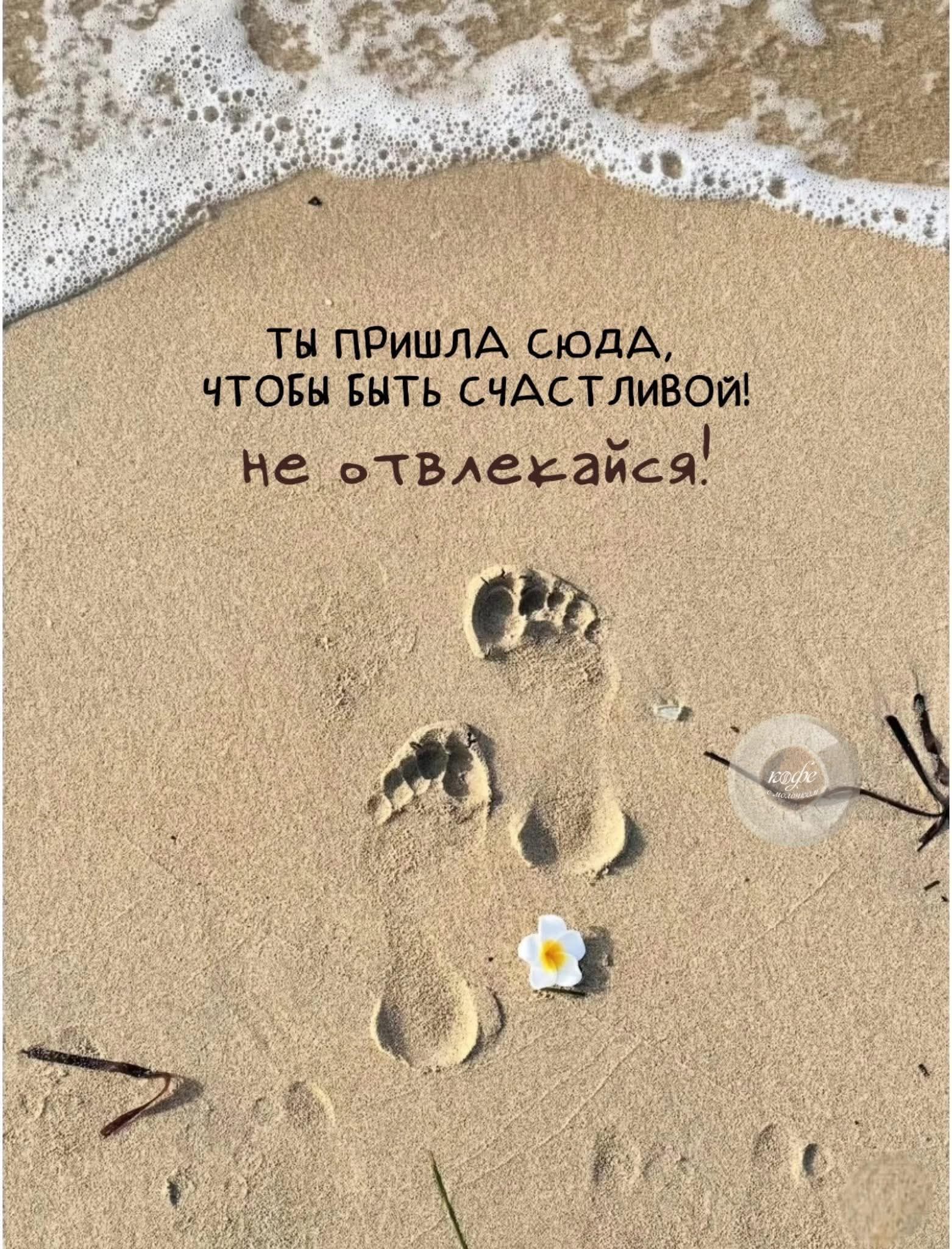Ты пришла сюда, чтобы быть счастливой! Не отвлекайся!