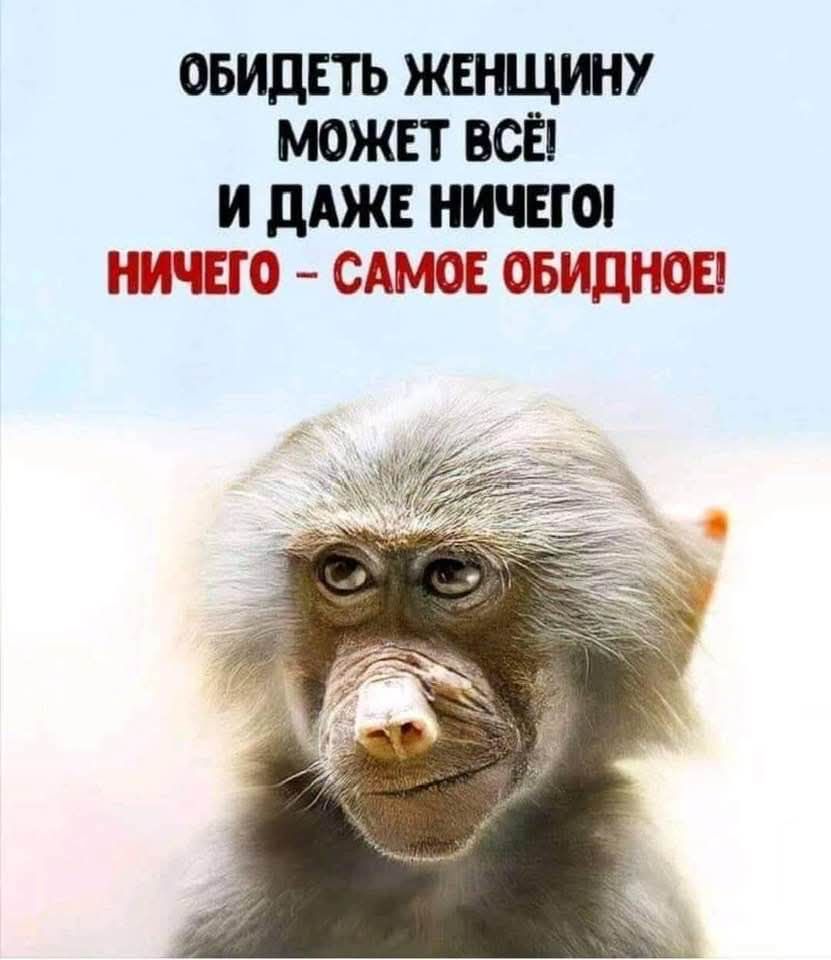 ОБИДЕТЬ ЖЕНЩИНУ МОЖЕТ ВСЁ! И ДАЖЕ НИЧЕГО! НИЧЕГО - САМОЕ ОБИДНОЕ!