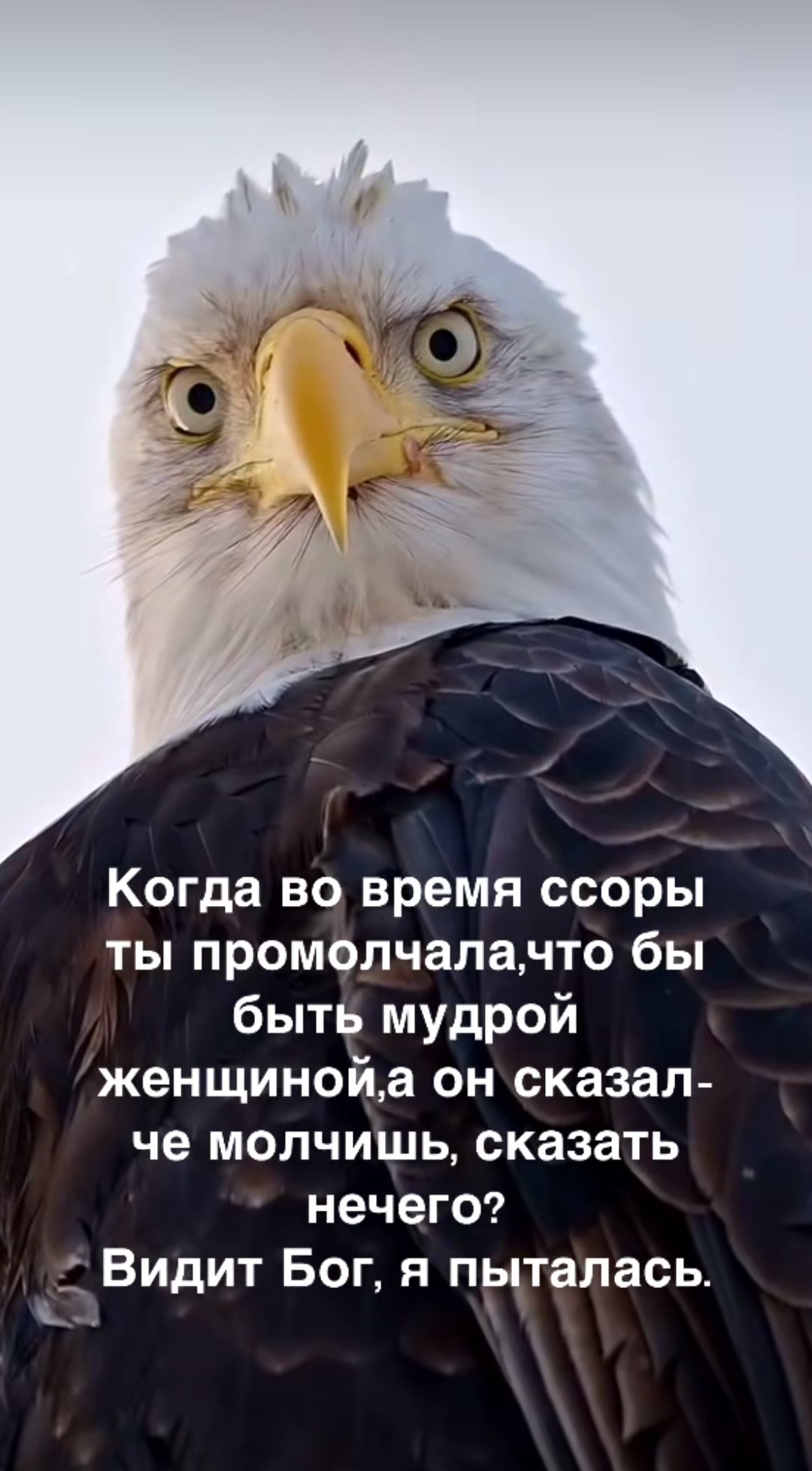 Когда во время ссоры ты промолчала, чтобы быть мудрой женщиной, а он сказал - че молчишь, сказать нечего? Видит Бог, я пыталась.