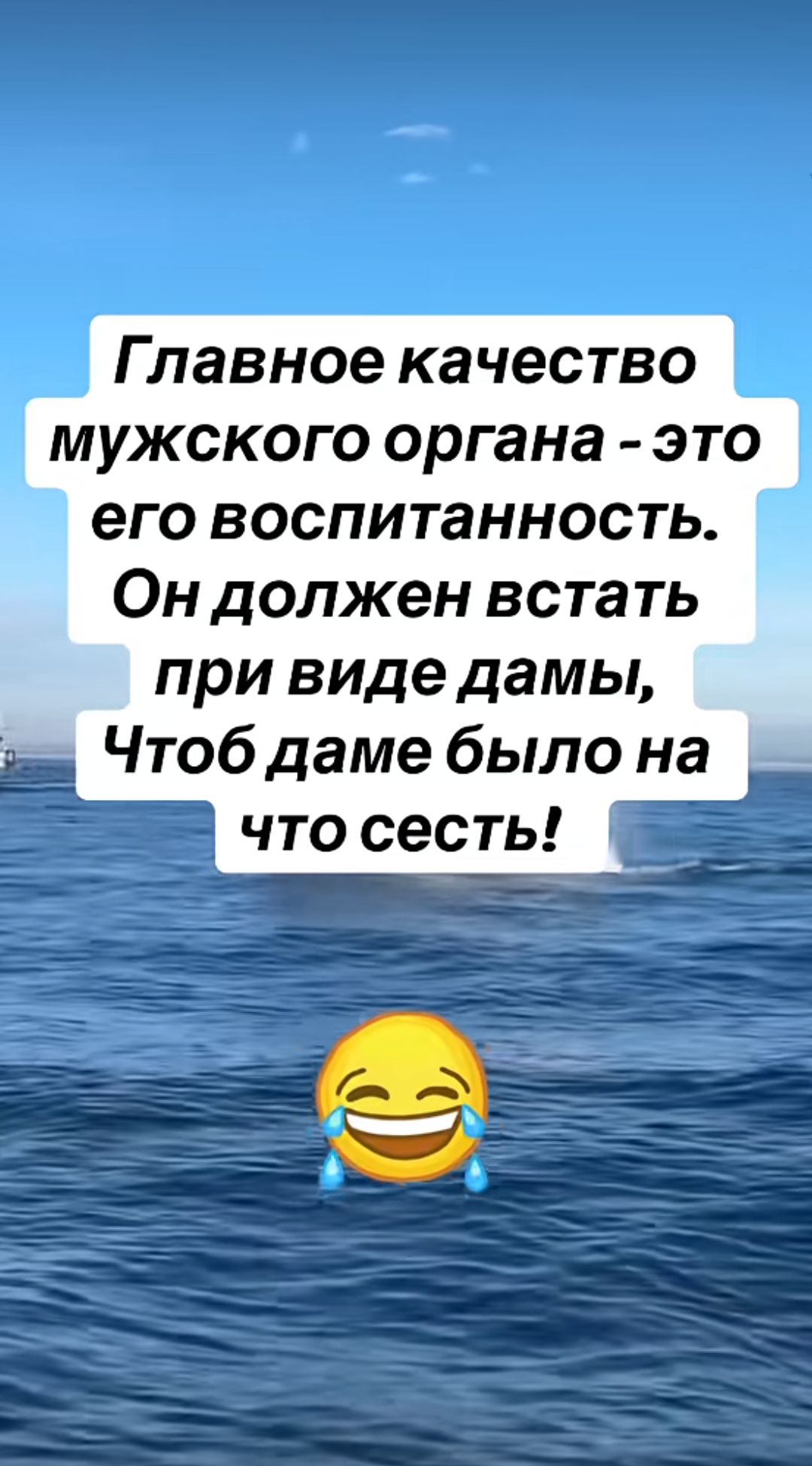 Главное качество мужского органа - это его воспитанность. Он должен встать при виде дамы, Чтоб даме было на что сесть!