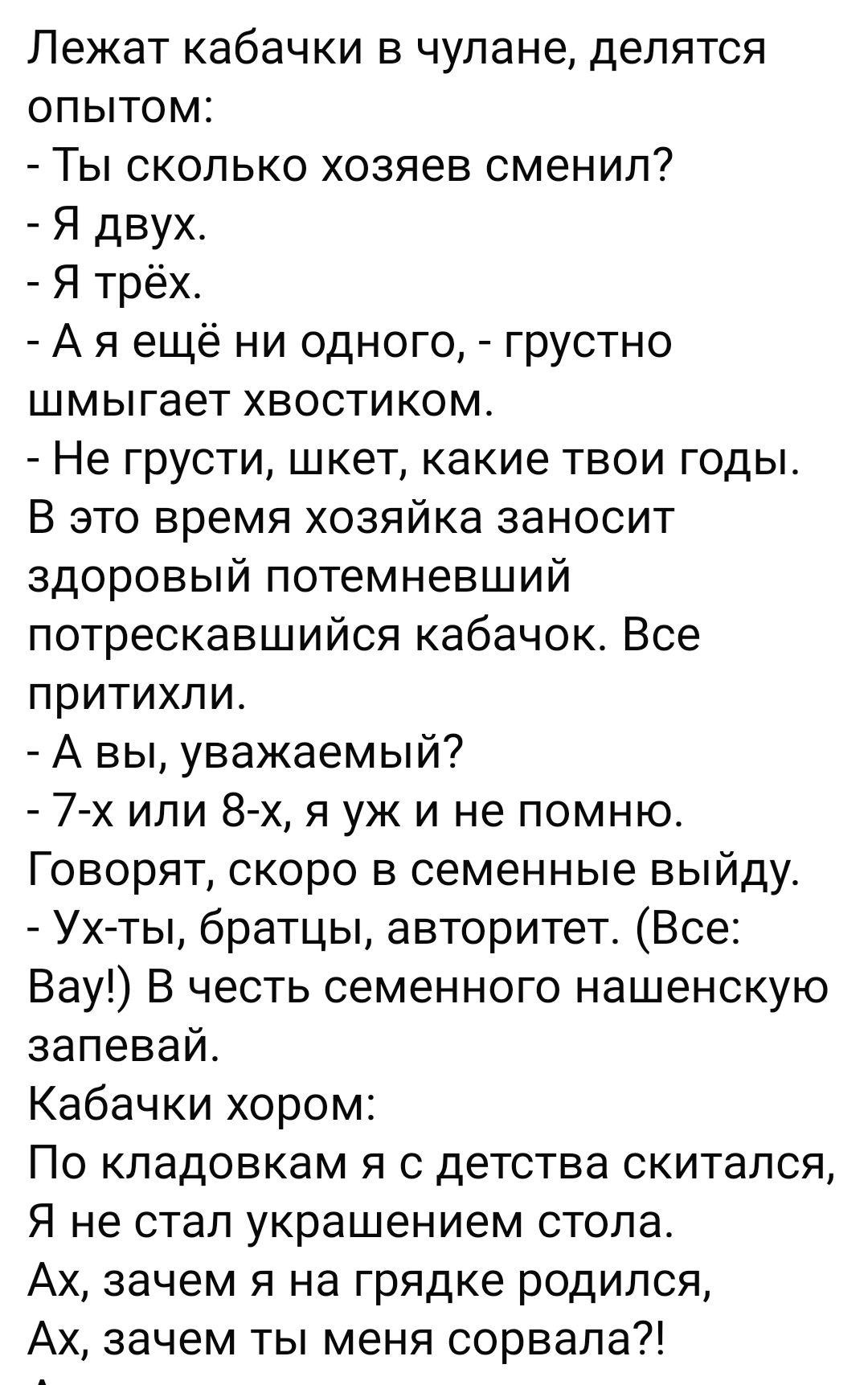 Лежат кабачки в чулане, делятся опытом:
- Ты сколько хозяев сменил?
- Я двух.
- Я трёх.
- А я ещё ни одного, - грустно шмыгает хвостиком.
- Не грусти, шкет, какие твои годы.
В это время хозяйка заносит здоровый потемневший потрескавшийся кабачок. Все притихли.
- А вы, уважаемый?
- 7-х или 8-х, уж и не помню.
Говорят, скоро в семенной выйду.
- Ух-ты, братья, авторитет. (Все: Вау!) В честь семенного нашенскую запевай.
Кабачки хором:
По кладовкам я с детства скакалс, 
Не стал украшением стола.
Говорят, я на грядке родился, 
Ах, зачем ты меня сорвала?!