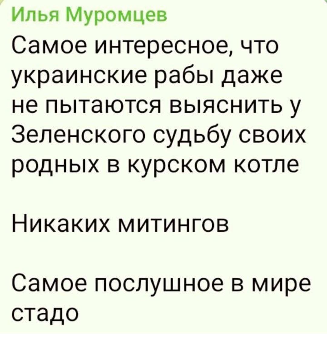 Самое интересное, что украинские рабы даже не пытаются выяснить у Зеленского судьбу своих родных в курском котле
Никаких митингов
Самое послушное в мире стадо