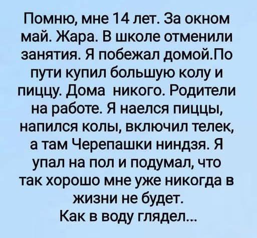 Помню, мне 14 лет. За окном май. Жара. В школе отменили занятия. Я побежал домой. По пути купил большую колу и пиццу. Дома никого. Родители на работе. Я наелся пиццы, напился колы, включил телек, а там Черепашки ниндзя. Я упал на пол и подумал, что так хорошо мне уже никогда в жизни не будет. Как в воду глядел...