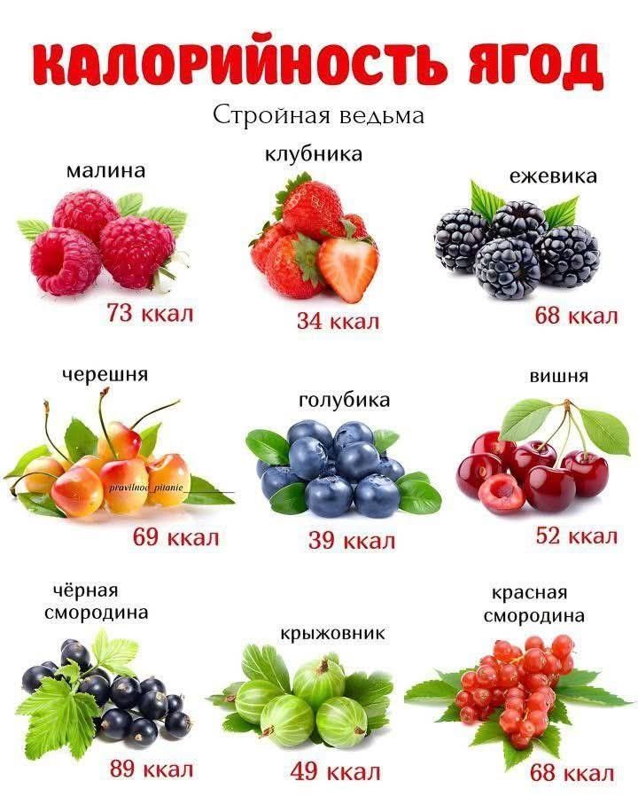 КАЛОРИЙНОСТЬ ЯГОД
Стройная ведьма
малина 73 ккал
клубника 34 ккал
ежевика 68 ккал
черешня 69 ккал
голубика 39 ккал
вишня 52 ккал
чёрная смородина 89 ккал
крыжовник 49 ккал
красная смородина 68 ккал