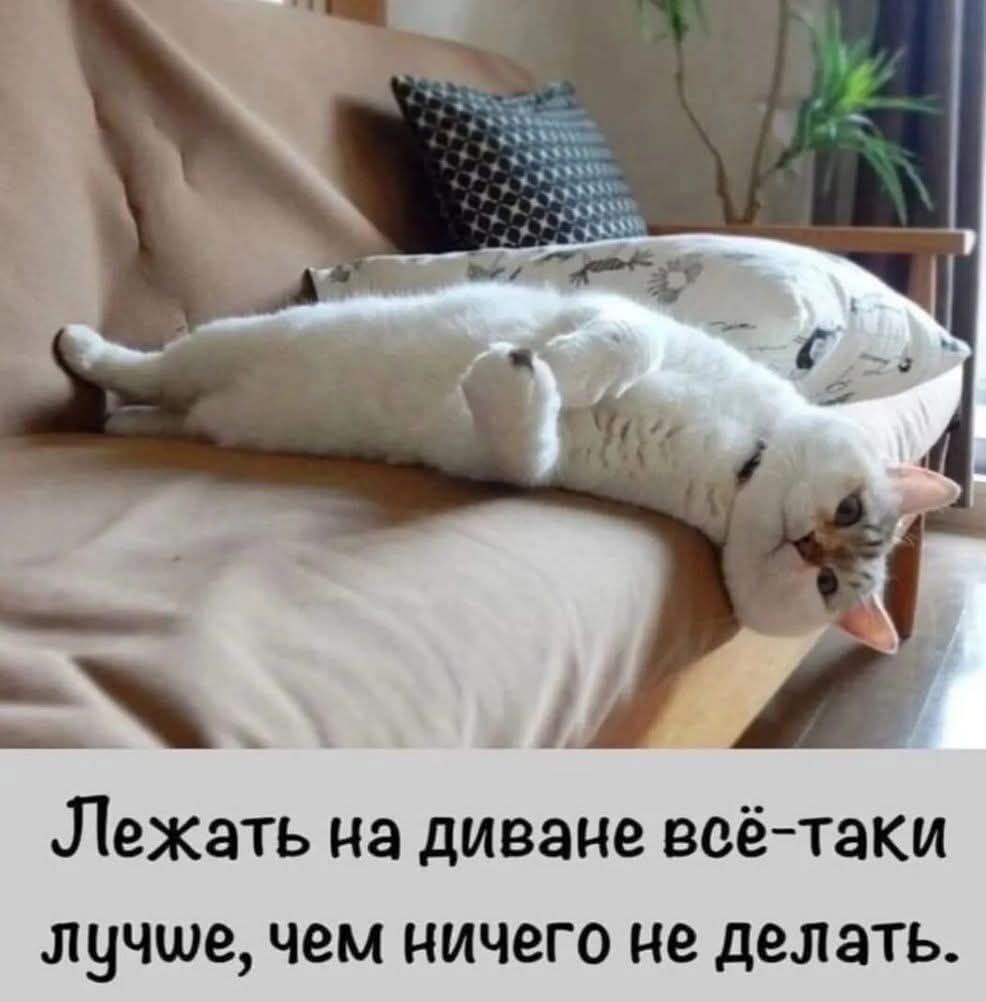 Лежать на диване всё-таки лучше, чем ничего не делать.