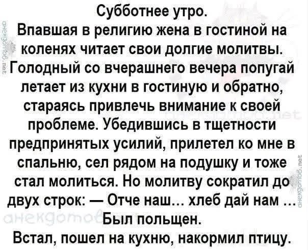 Субботнее утро. Впавшая в религию жена в гостиной на коленях читает свои долгие молитвы. Голодный со вчерашнего вечера попугай летает из кухни в гостиную и обратно, стараясь привлечь внимание к своей проблеме. Убедившись в тщетности предпринятых усилий, прилетел ко мне в спальную, сел рядом на подушку и тоже стал молиться. Но молитву сократил до двух строк: — Отче наш... хлеб дай нам ... Был полщен. Встал, пошел на кухню, накормил птицу.
