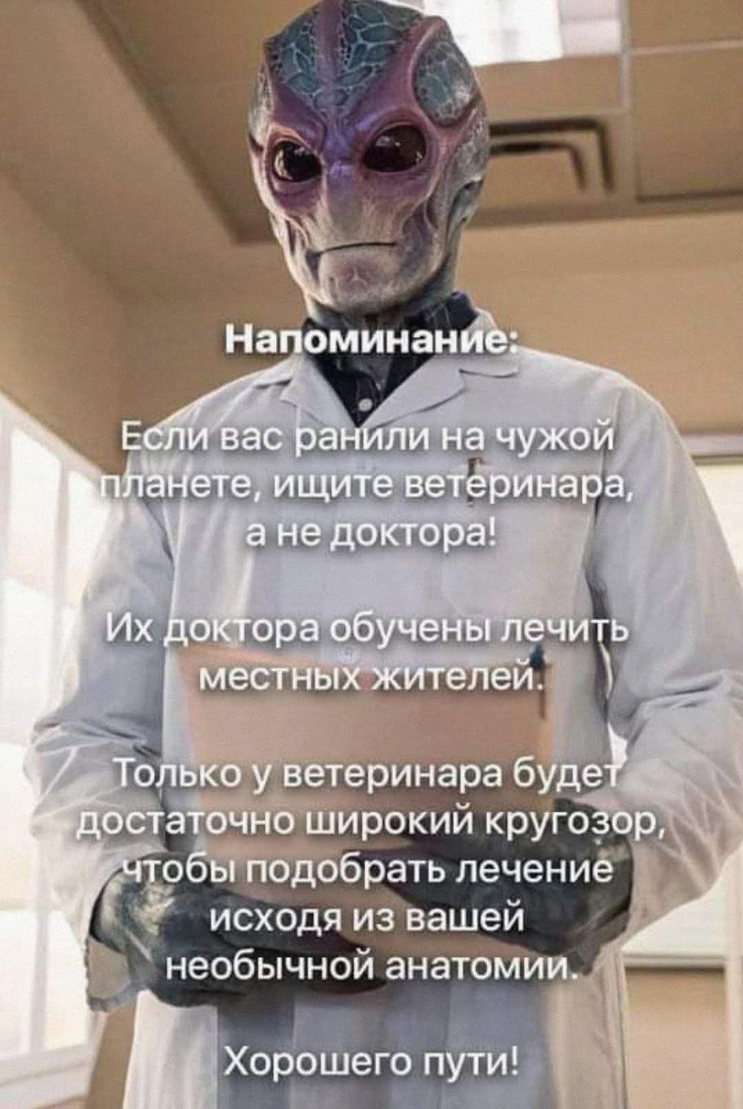 Напоминание:
Если вас ранили на чужой планете, ищите ветеринара, а не доктора!
Их доктора обучены лечить местных жителей.
Только у ветеринара будет достаточно широкий кругозор, чтобы подобрать лечение исходя из вашей необычной анатомии.
Хорошего пути!
