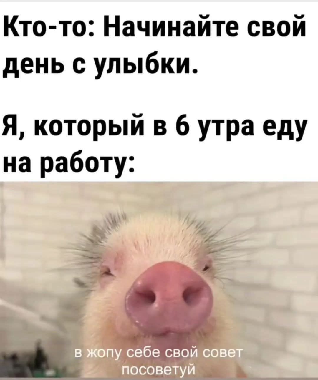 Кто-то: Начинайте свой день с улыбки.
Я, который в 6 утра еду на работу:
в жопу себе свой совет посоветуй