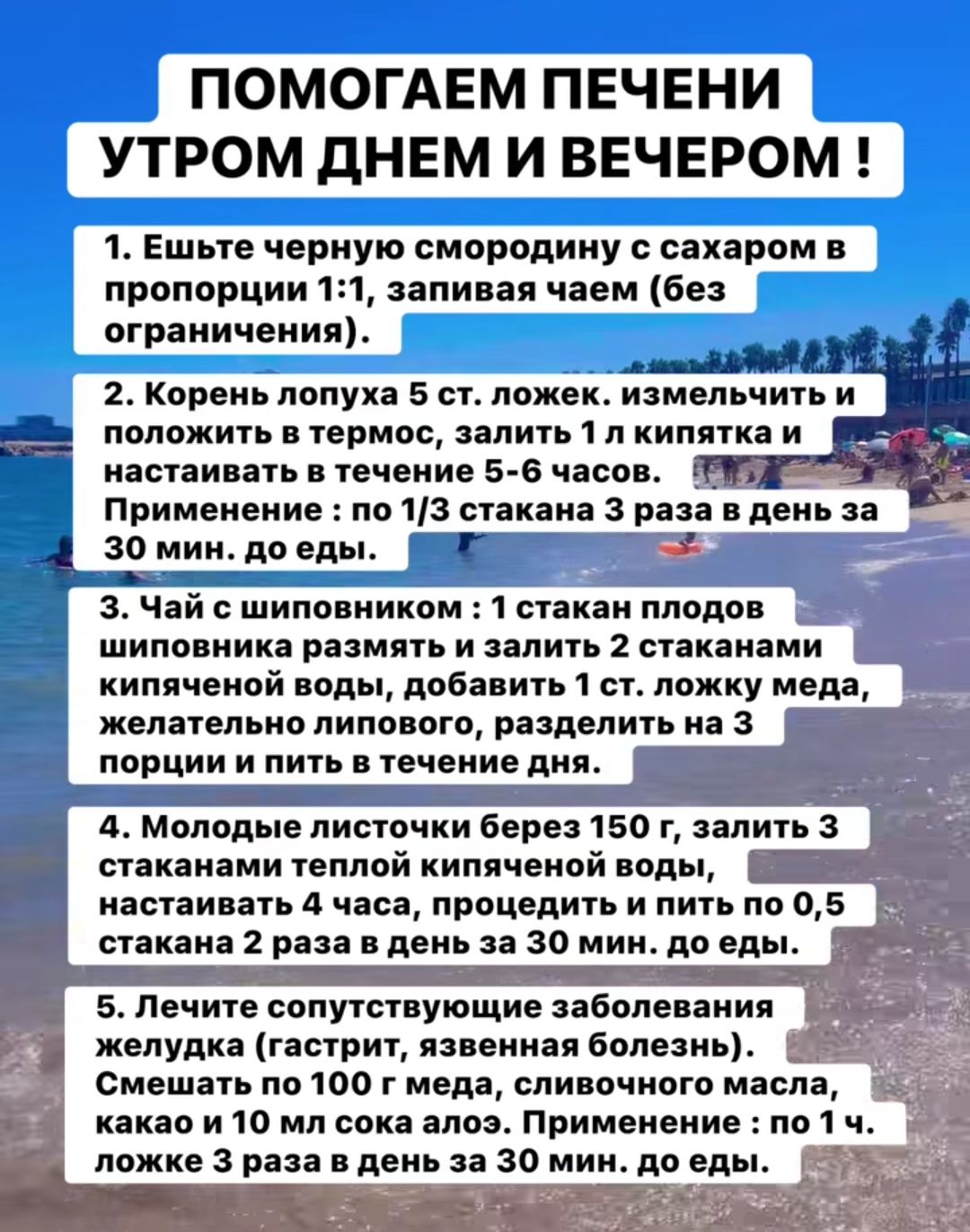 ПОМOGAЕМ ПЕЧЕНИ УТРОМ ДНЕМ И ВЕЧЕРОМ !
1. Ешьте черную смородину с сахаром в пропорции 1:1, запивая чаем (без ограничений).
2. Корень лопуха 5 ст. ложек. измельчить и положить в термос, залить 1 л кипятка и настаивать в течение 5-6 часов. Применение: по 1/3 стакана 3 раза в день за 30 мин. до еды.
3. Чай с шиповником: 1 стакан плодов шиповника размять и залить 2 стаканами кипящей воды, добавить 1 ст. ложку меда, желательно липового, разделить на 3 порции и пить в течение дня.
4. Молодые листочки березы 150 г, залить 3 стаканами кипящей воды, настоять 1 час, процеживать и пить 2-3 раза в день по 1/2 стакана.
5. Лечение сопутствующих заболеваний желудка (простуда, гастрит и т.п.) - рекомендуется данное средство.