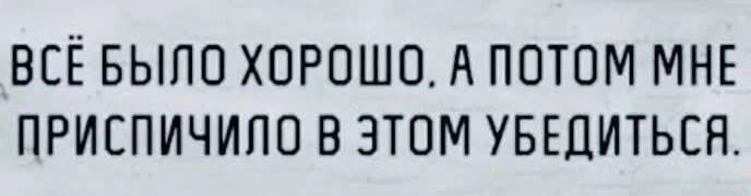 ВСЁ БЫЛО ХОРОШО, А ПОТОМ МНЕ ПРИСПИЧИЛО В ЭТОМ УБЕДИТЬСЯ.