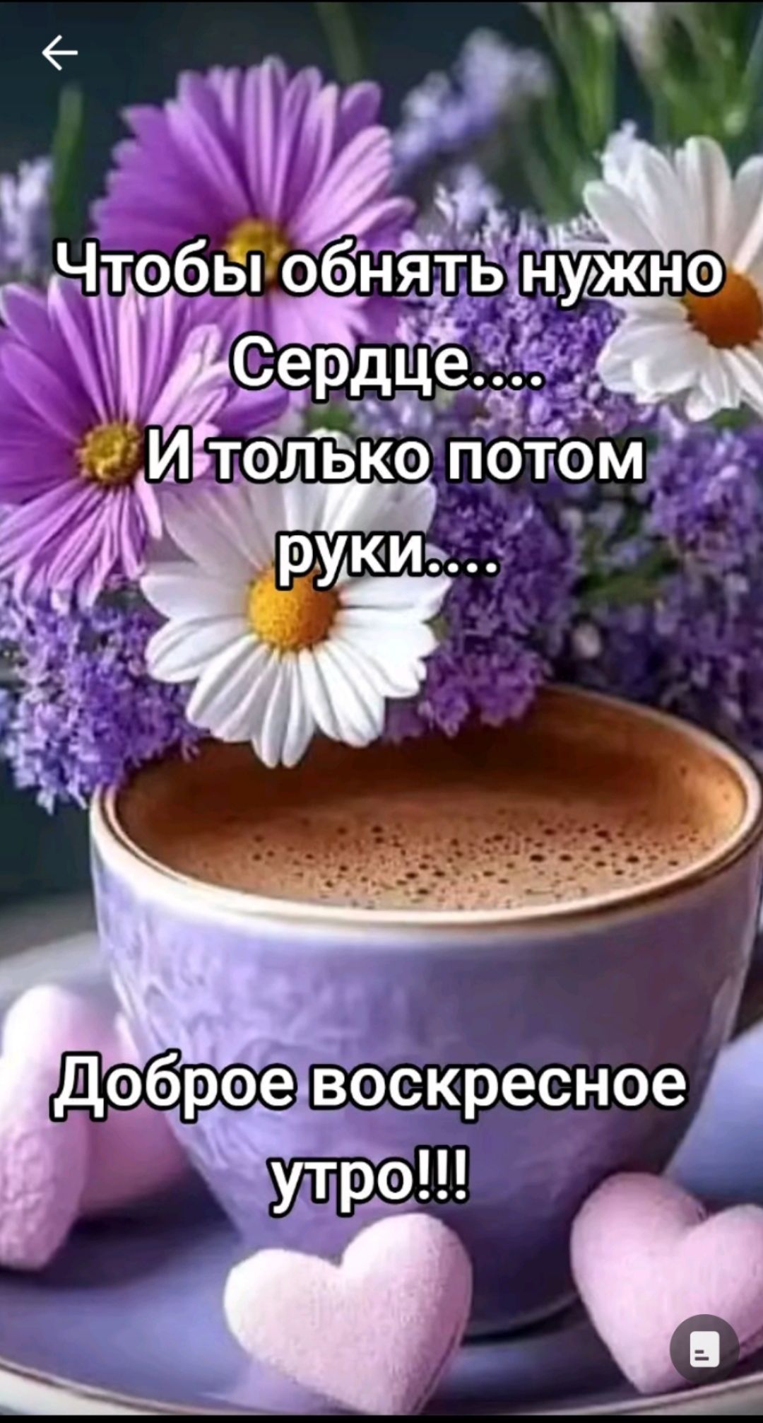 Чтобы обнять нужно Сердце.... И только потом руки.... Доброе воскресное утро!!!