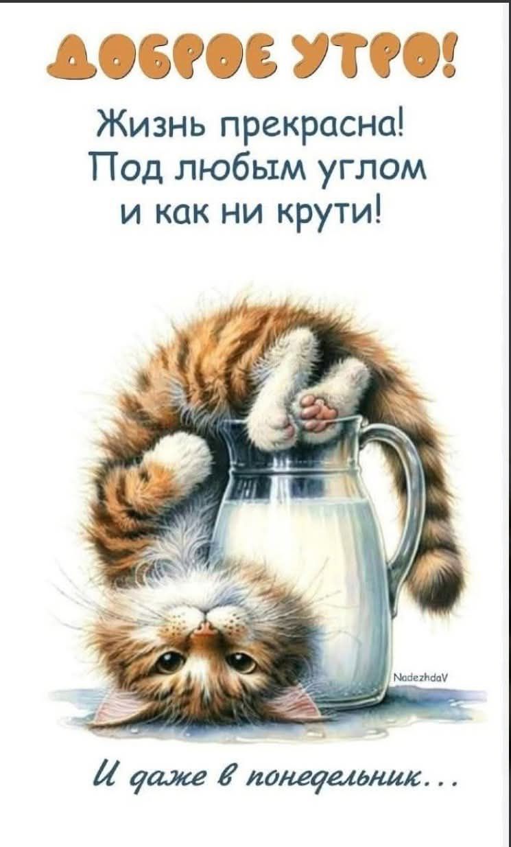 ДОБРОЕ УТРО!
Жизнь прекрасна! Под любым углом и как ни крути!
И даже в понедельник...