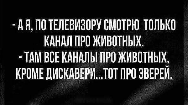 - А я, по телевизору смотрю только канал про животных.
- Там все каналы про животных, кроме Дискавери... тот про зверей.