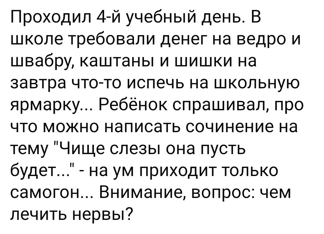 Проходил 4-й учебный день. В школе требовали денег на ведро и швабру, каштаны и шишки на завтра что-то испечь на школьную ярмарку... Ребёнок спрашивал, про что можно написать сочинение на тему 