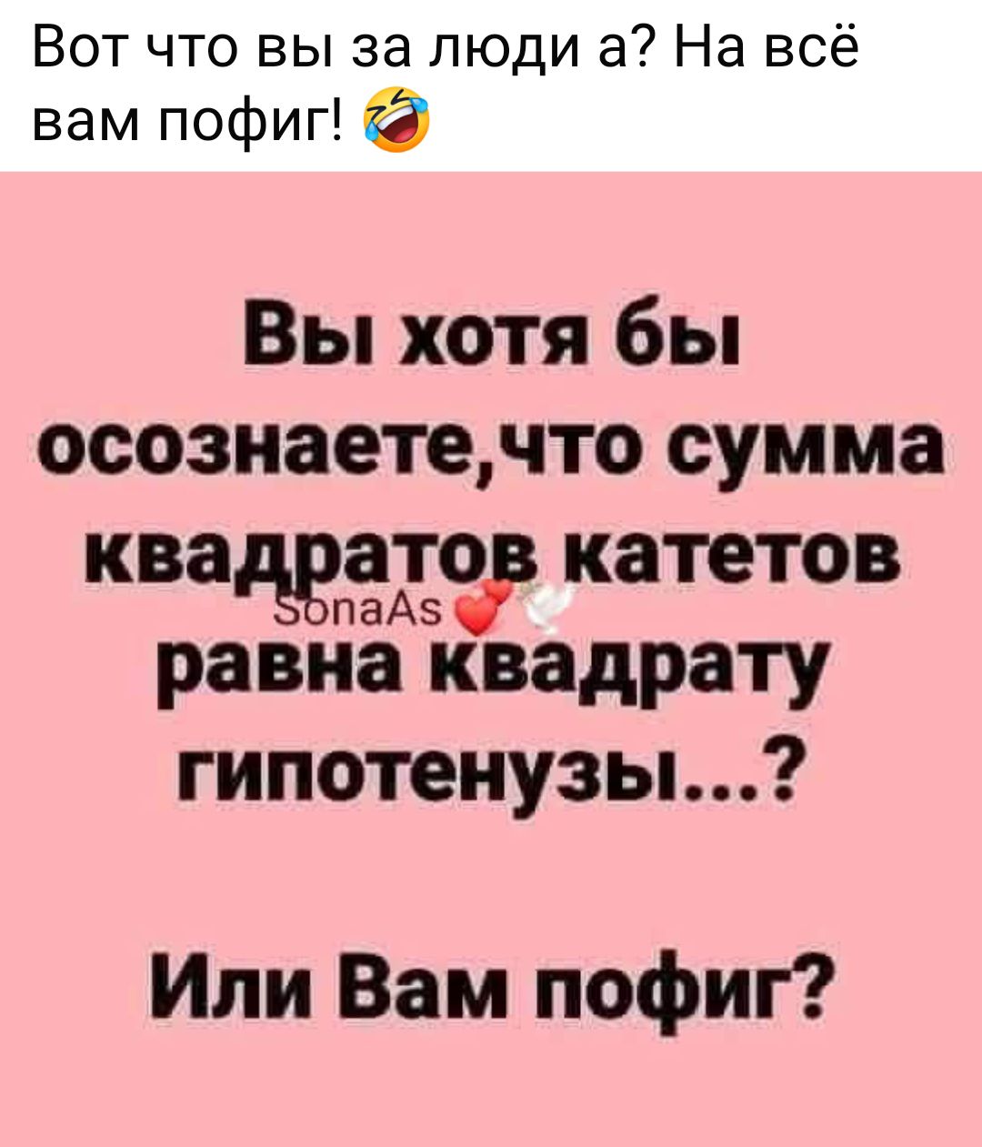 Вот что вы за люди а? На всё вам пофиг! 🤣

Вы хотя бы осознаете, что сумма квадратов катетов равна квадрату гипотенузы...? 

Или Вам пофиг?
