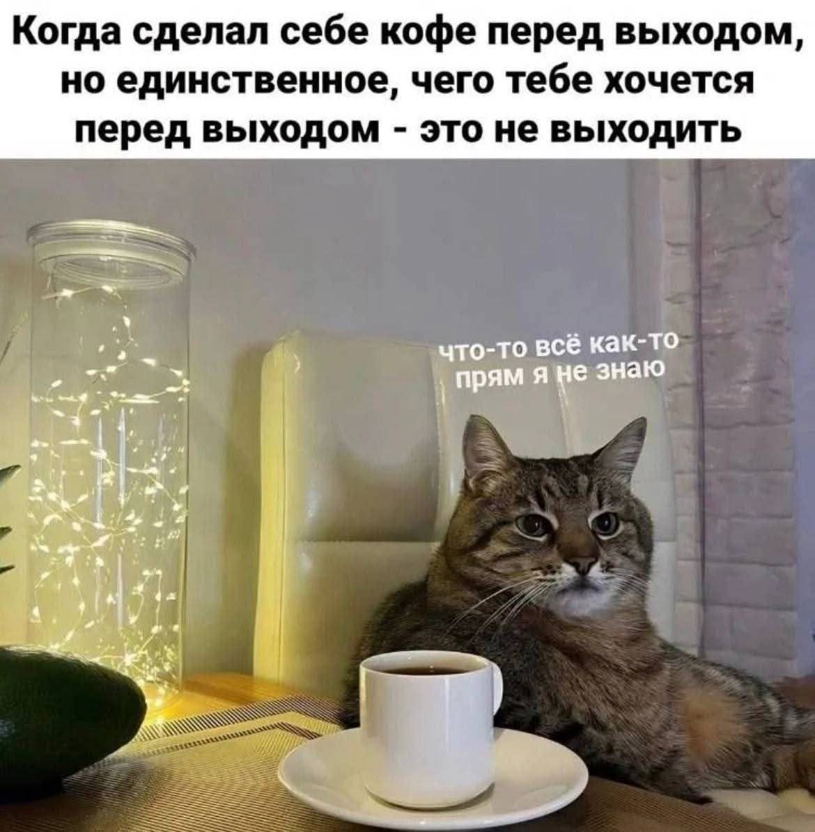Когда сделал себе кофе перед выходом, но единственное, чего тебе хочется перед выходом - это не выходить
что-то всё как-то прямо я не знаю