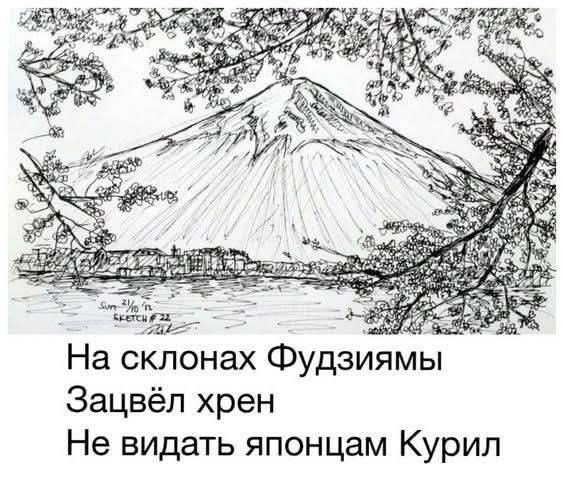 На склонах Фудзиямы
Зацвёл хрен
Не видать японцам Курил