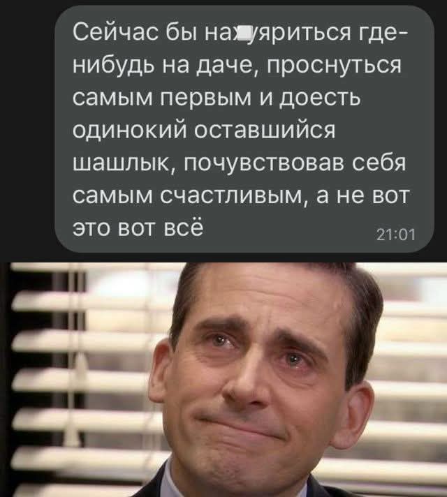 Сейчас бы нажуяриться где-
нибудь на даче, проснуться
самым первым и доесть
одинокий оставшийся
шашлык, почувствовав себя
самым счастливым, а не вот
это вот всё 21:07

