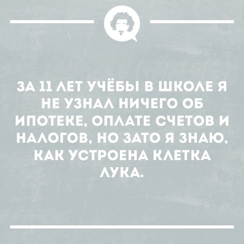 За 11 лет учёбы в школе я не узнал ничего об ипотеке, оплате счетов и налогов, но зато я знаю, как устроена клетка лука.