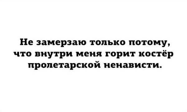 Не замерзаю только потому, что внутри меня горит костёр пролетарской ненависти.