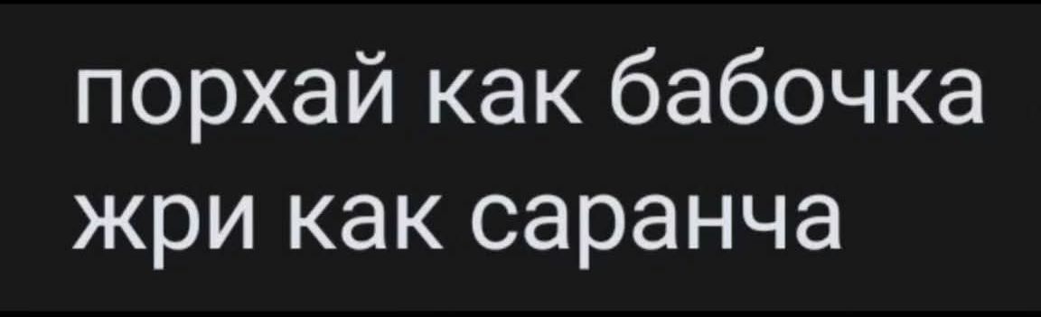 порхай как бабочка жри как саранча